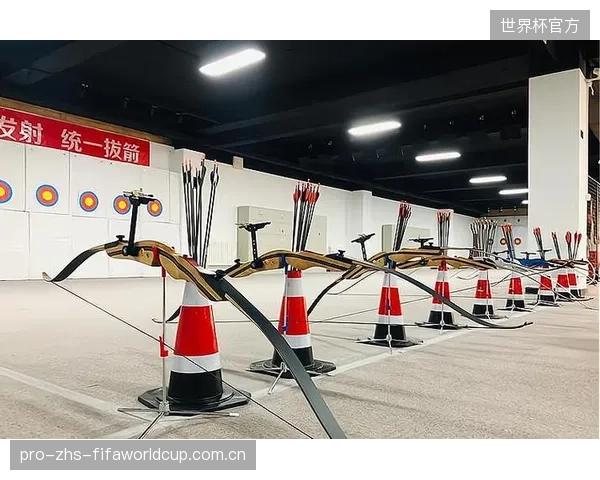 当SwissTiming等少数品牌垄断核心技术，小型体育科技公司在射箭产业中还有生存空间吗？